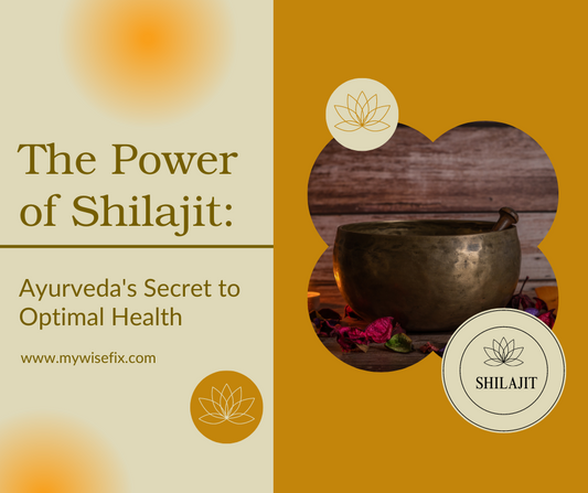 The Power of Shilajit : Ayurveda's Secret to Optimal Health