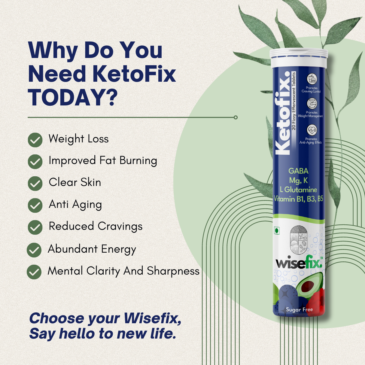 Wisefix's Ketofix Effervescent Tablets - My Wisefix